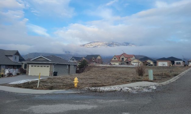 Town adopts controversial zoning amendment