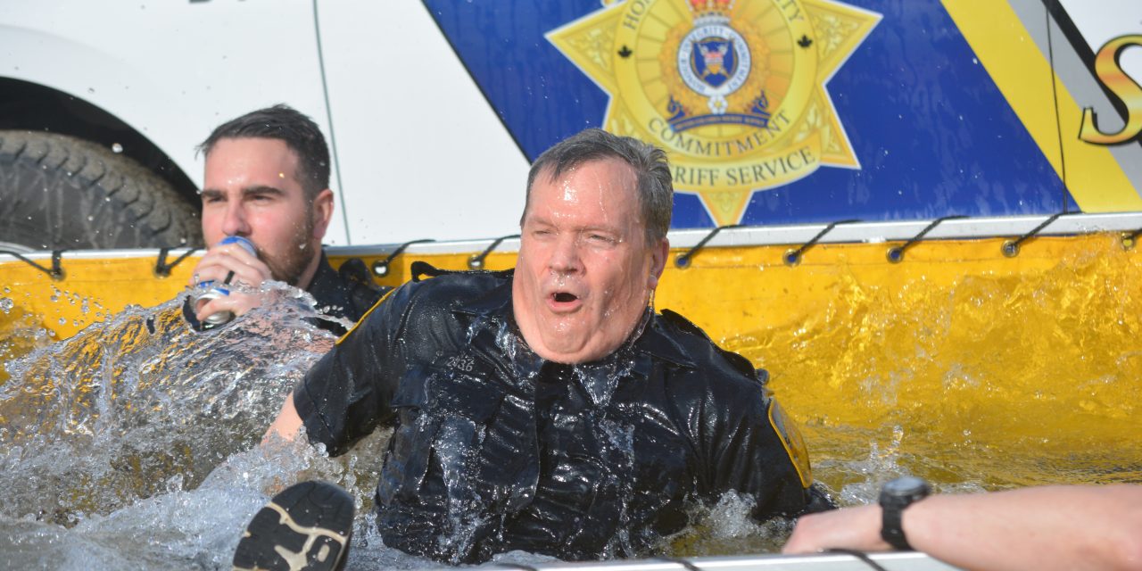 Professionals take the plunge for Special Olympics