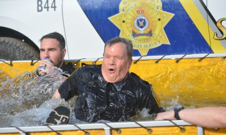 Professionals take the plunge for Special Olympics
