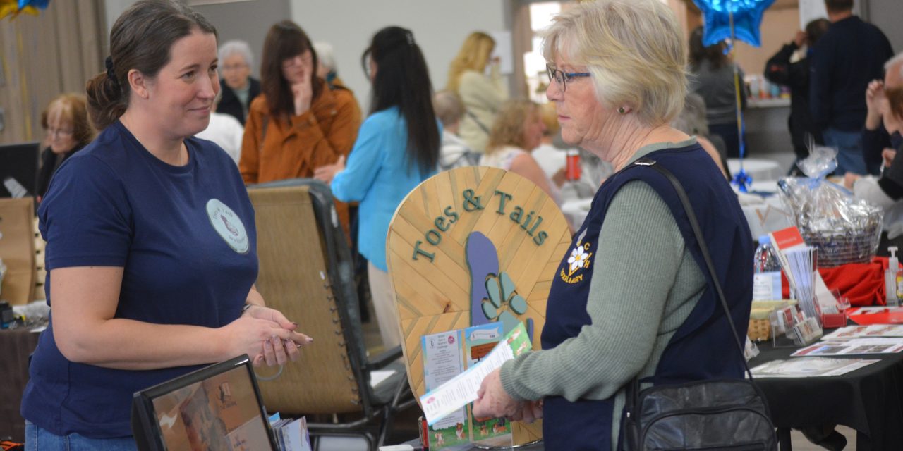 WOW Trade Show returns for 31st instalment