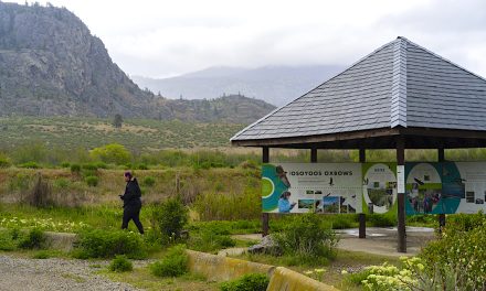 Bird Trail takes flight with more trails coming
