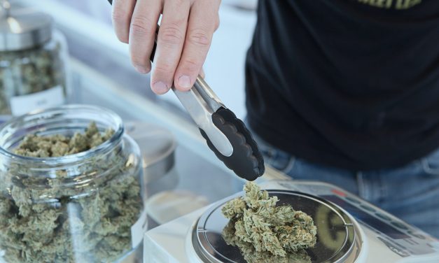 Streamlined cannabis licenses on horizon