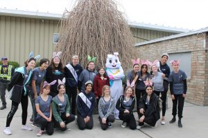 parks and rec volunteers