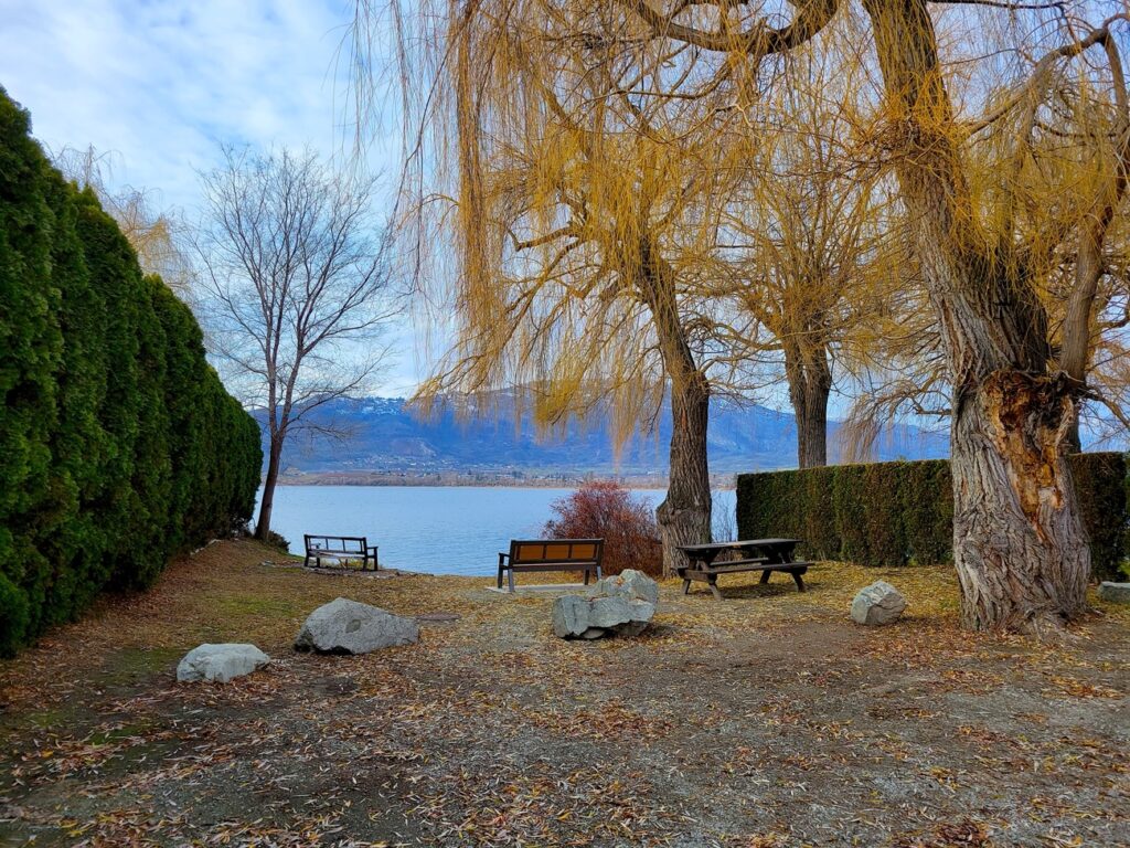 bench