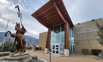 Council reps appointed for library board and DO