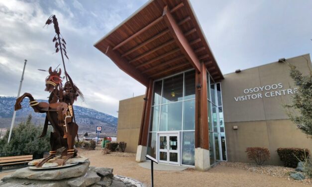 Council reps appointed for library board and DO