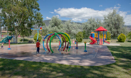 Town ready for formal dissolution of parks and rec society