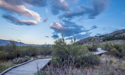 Osoyoos Desert Centre opens for the season this weekend