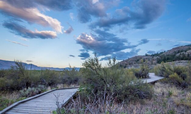 Osoyoos Desert Centre opens for the season this weekend
