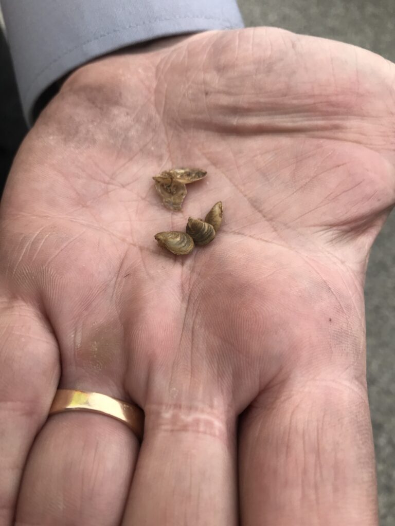 BC IMDP inspector with mussel sample in palm of hand