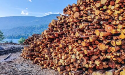 OIB, Mercer Celgar partner over waste wood utilization