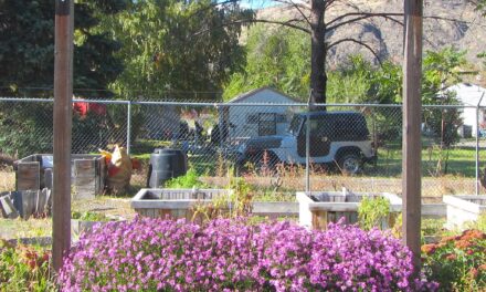 More plants to fight food insecurity in Oliver