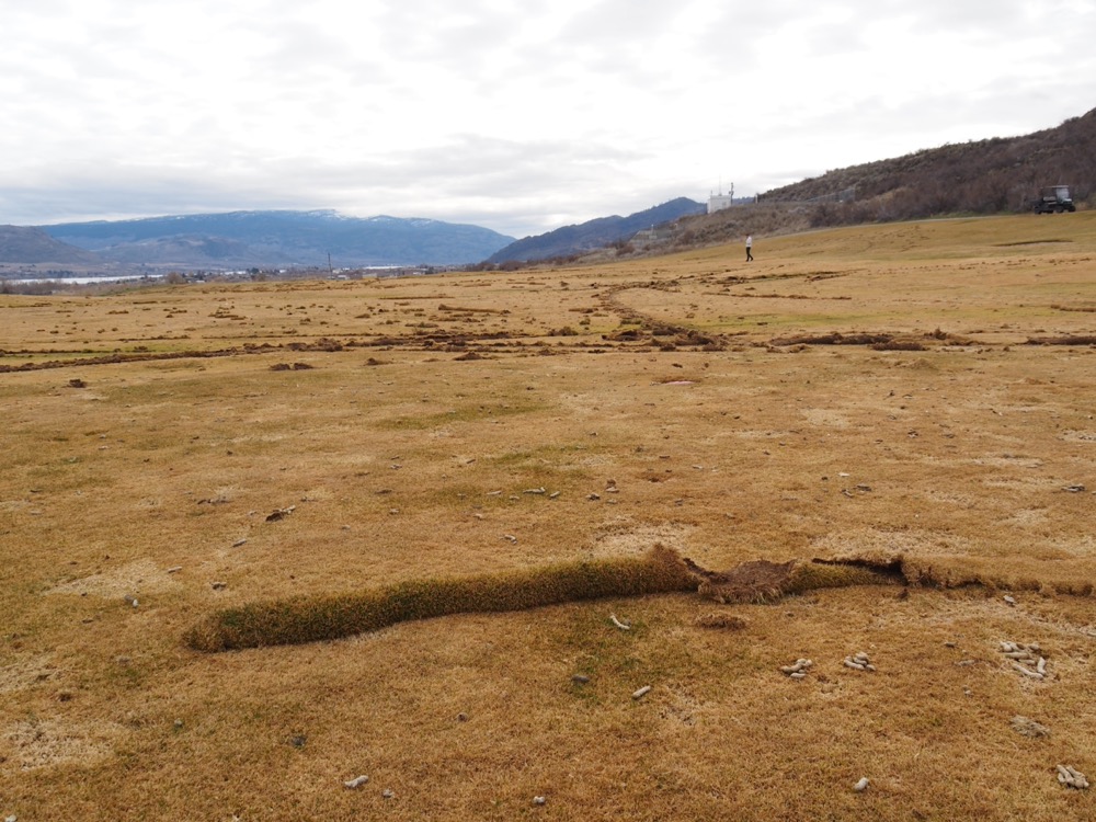 osoyoos golf club