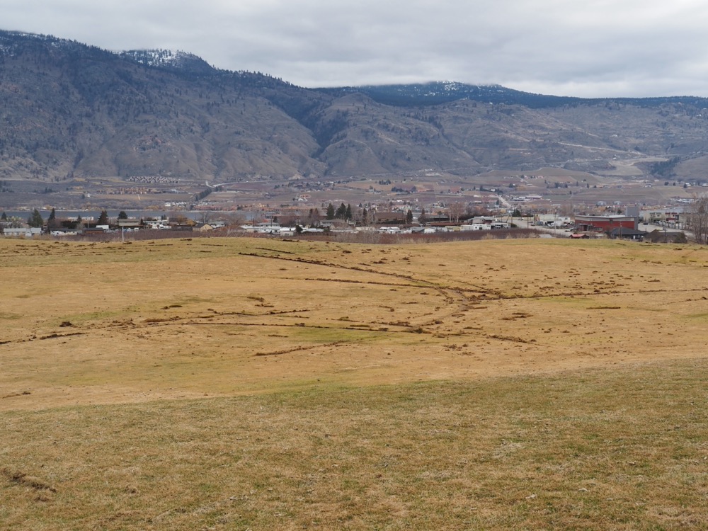 osoyoos golf club