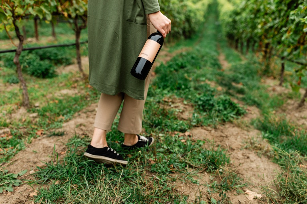 wine bottle in vineyard - wgbc photo