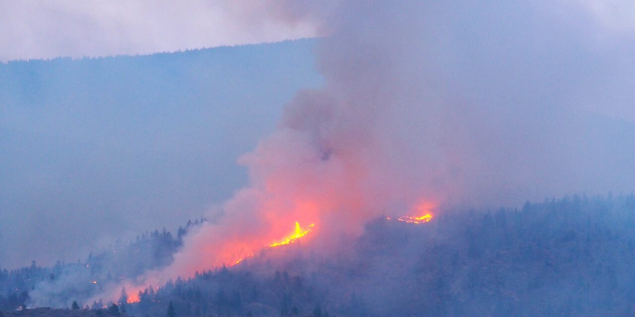 Province takes action earlier than ever for wildfire season