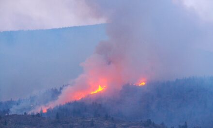 Province takes action earlier than ever for wildfire season