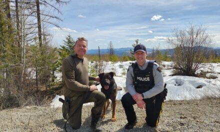 Three arrested after fleeing stolen vehicle near Baldy