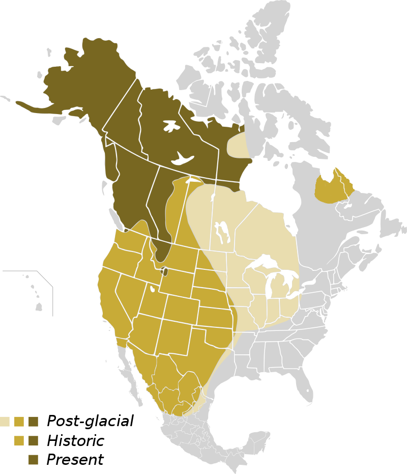 North_American_Grizzly_Range_Map
