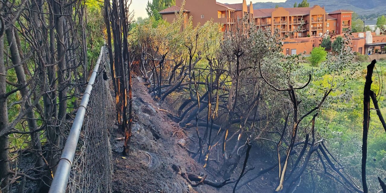 Osoyoos interface fire begins from camp cooking