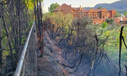 Osoyoos interface fire begins from camp cooking