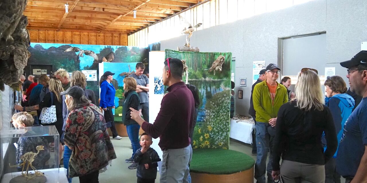 Raptor rehabilitation centre open house this weekend