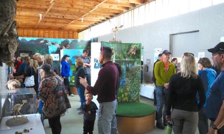 Raptor rehabilitation centre open house this weekend