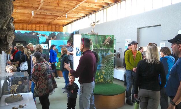 Raptor rehabilitation centre open house this weekend