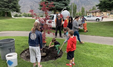 Home Hardware plants commemorative trees