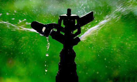 Stage two water restrictions in effect for Osoyoos
