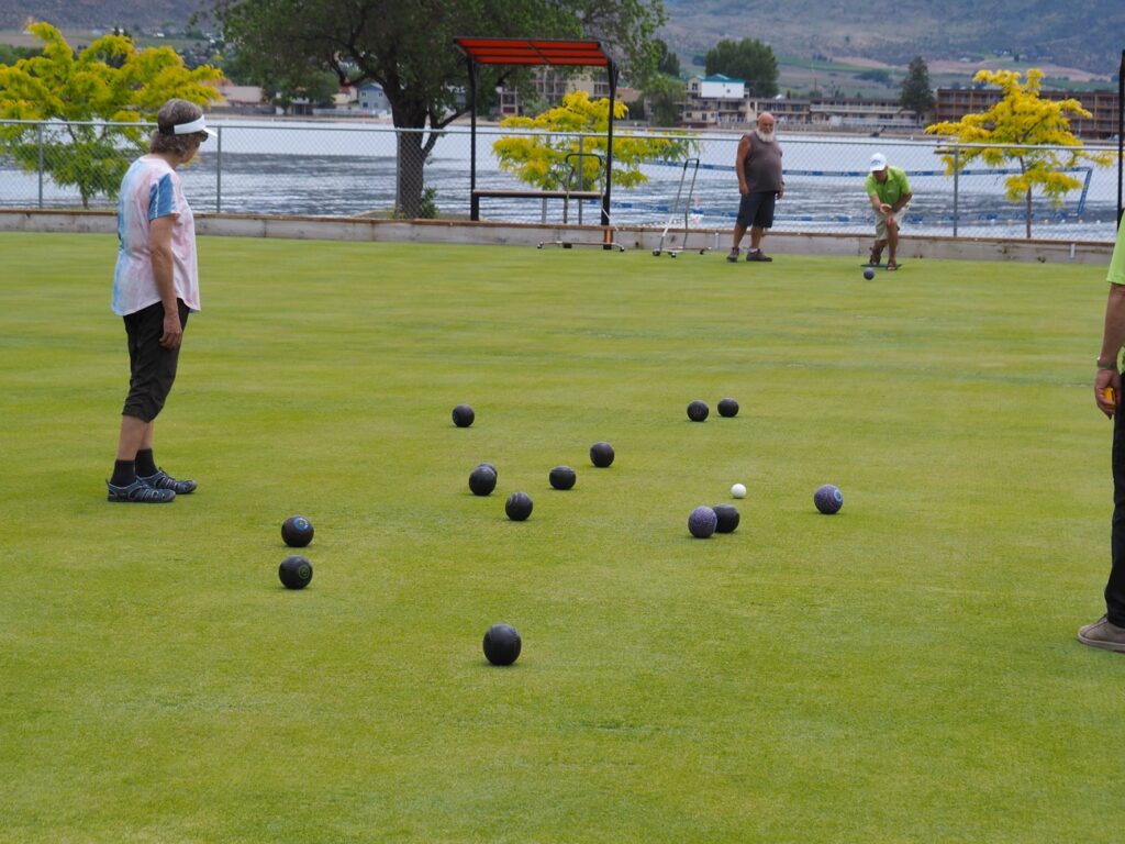 lawn bowl