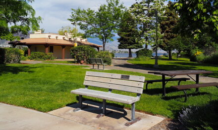 Vandalized memorial bench quickly reinstalled