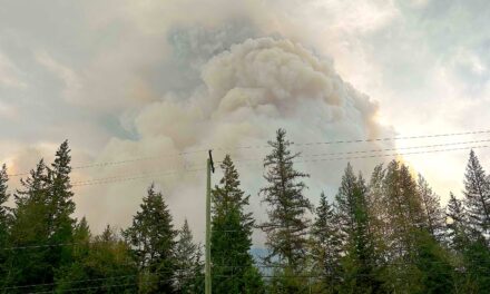 Osoyoos firefighters deploy to Kootenays at ‘moment’s notice’