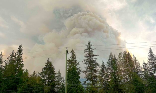 Osoyoos firefighters deploy to Kootenays at ‘moment’s notice’