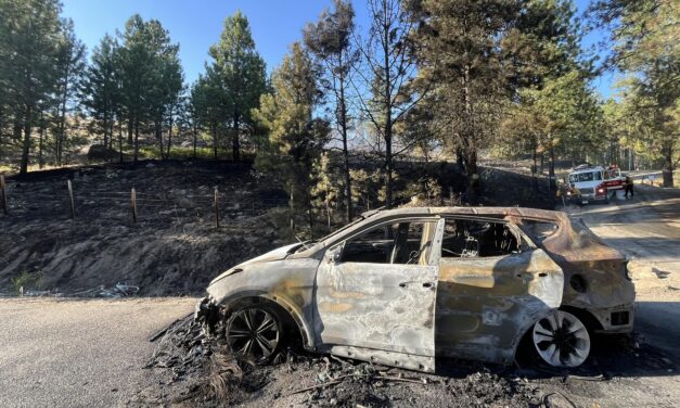 UPDATED: Chopaka and Anarchist wildfires under control