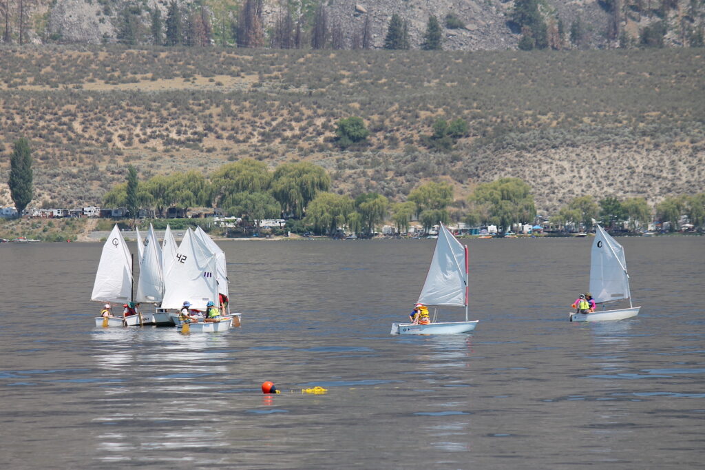 sailing MOSS