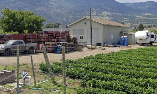 RDOS cracks down on illegal farm housing
