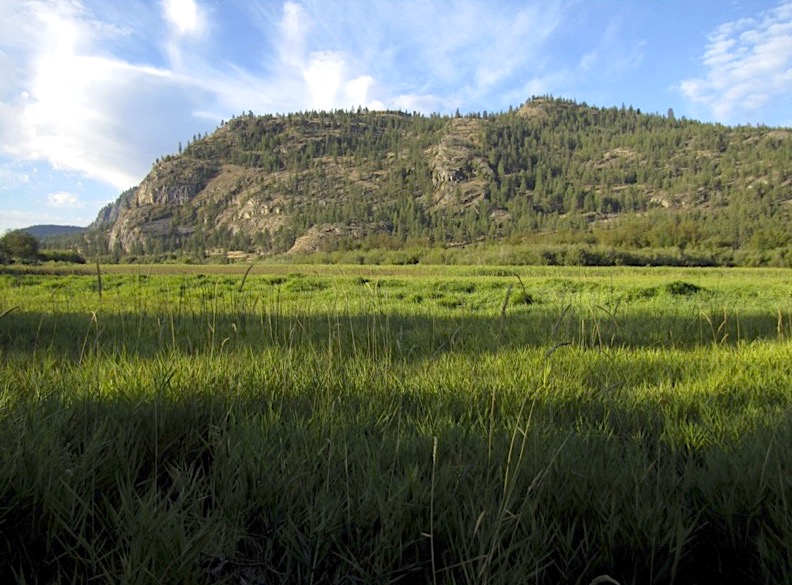 vaseux lake