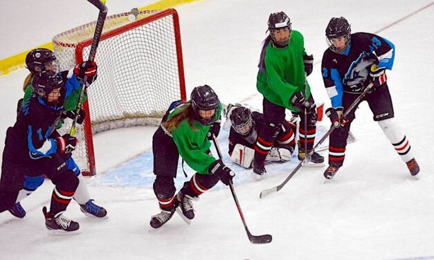 Warriors of Truth hockey replaced with baseball this year