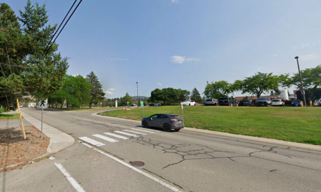 Oliver seeks more raised crosswalks to combat speeding
