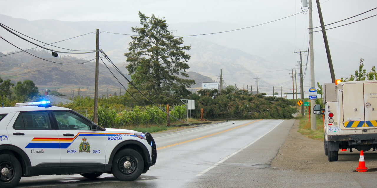 Power restored to Osoyoos after wind downs trees