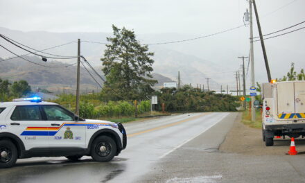 Power restored to Osoyoos after wind downs trees