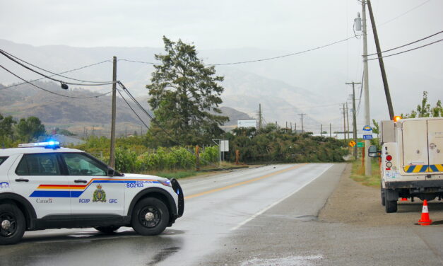 Power restored to Osoyoos after wind downs trees