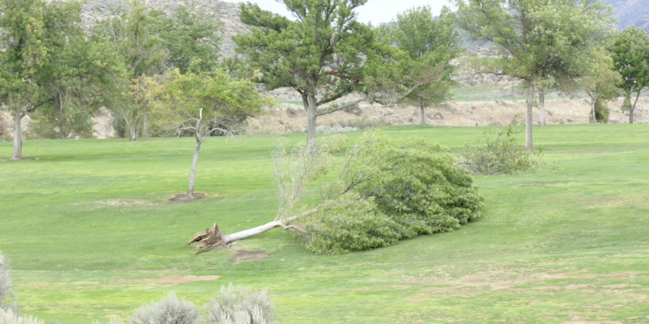 Intense wind from thunderstorm causes damage in Osoyoos