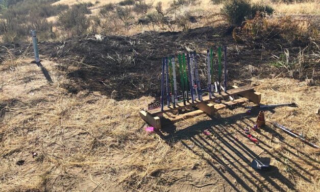 Fireworks result in Fairview brushfire