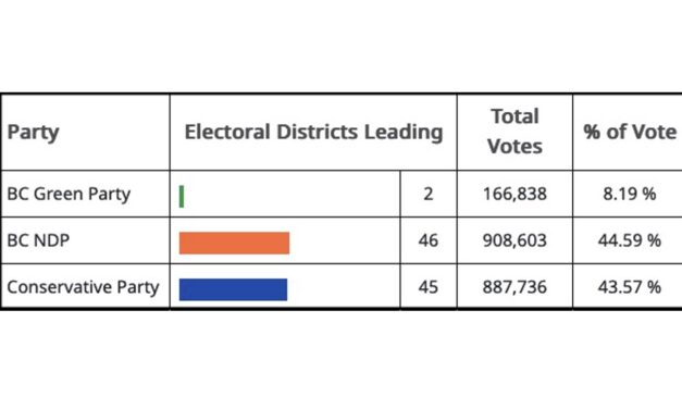 Voters deliver unclear result with no majority, Wilson wins riding