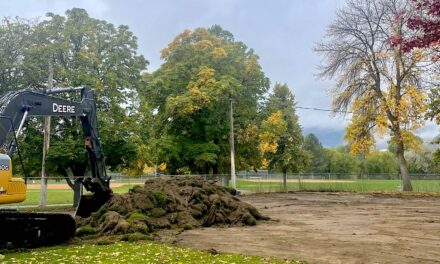 Basketballers can rejoice as a new court is on the way