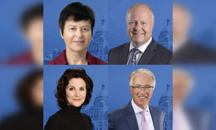 Calls for Rustad to take action on racism within party