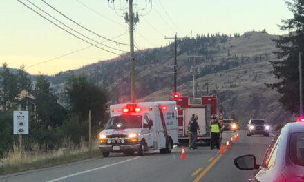 Peak season for deer collisions as Hwy. 97 single lane Wed a.m.