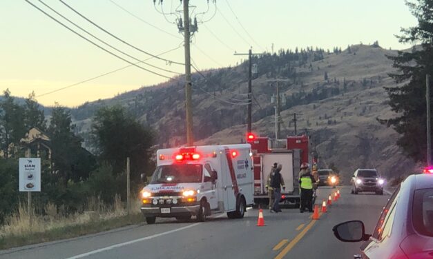 Peak season for deer collisions as Hwy. 97 single lane Wed a.m.